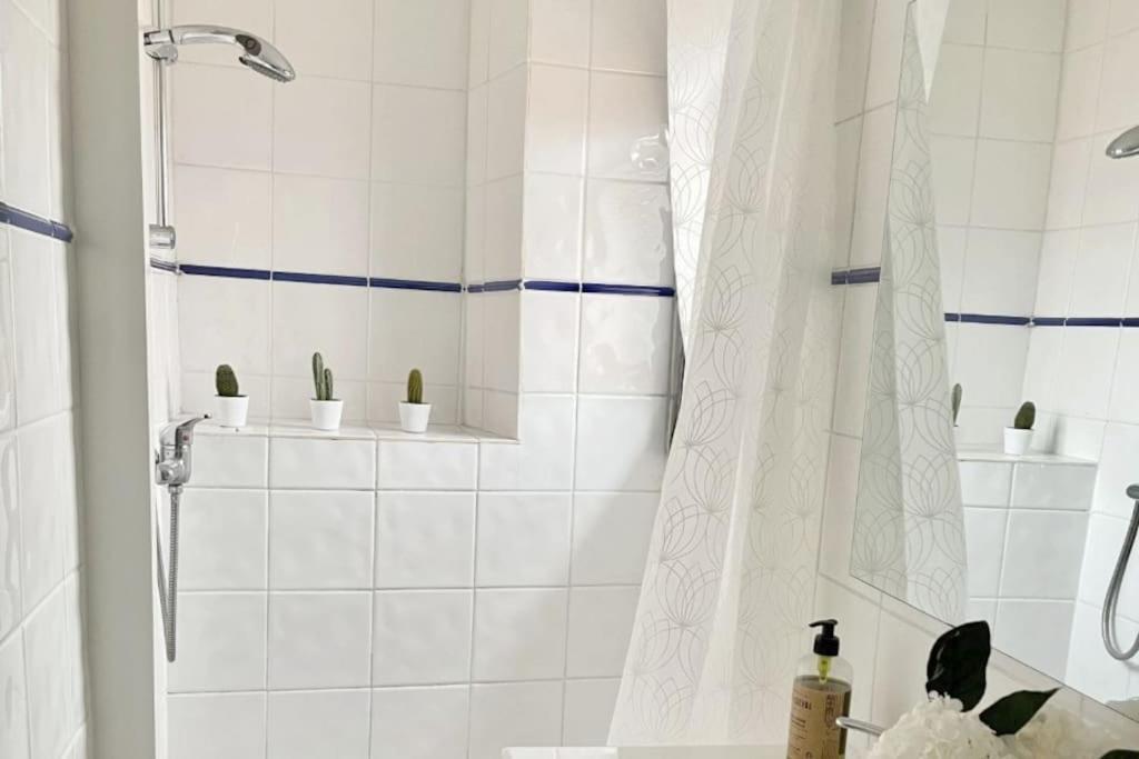 Studio Sous Les Toits Tres Bien Place Et Climatise Montpellier Eksteriør bilde